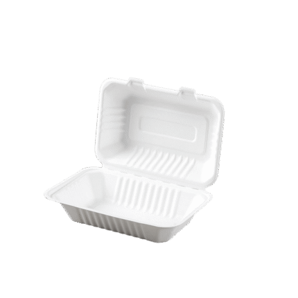 Sugarcane Compostable Clamshell Container 6 x 9"